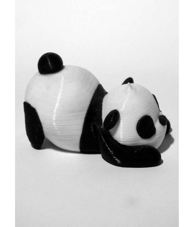 Uyuyan Panda